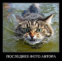 ПОСЛЕДНЕЕ ФОТО АВТОРА 