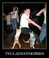 ТУСА ДЕМАТИВЭЙШН 