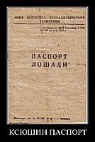КСЮШИН ПАСПОРТ 