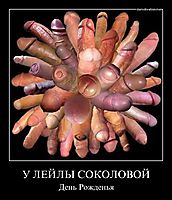 У ЛЕЙЛЫ СОКОЛОВОЙ День Рожденья