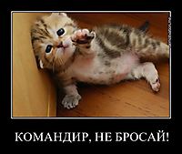 КОМАНДИР, НЕ БРОСАЙ! 