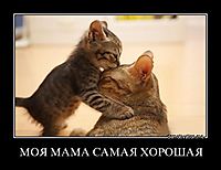 МОЯ МАМА САМАЯ ХОРОШАЯ 