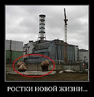 РОСТКИ НОВОЙ ЖИЗНИ... 