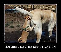 ЗАГЛЯНУ КА Я НА DEMOTIVATION 