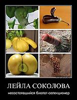 ЛЕЙЛА СОКОЛОВА несостоявшийся биолог-селекционер