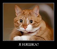 Я НЯШКА? 