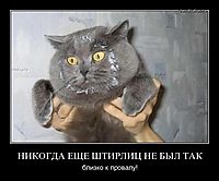 НИКОГДА ЕЩЕ ШТИРЛИЦ НЕ БЫЛ ТАК