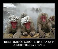 ВЕЕРНЫЕ ОТКЛЮЧЕНИЯ ГАЗА И ЭЛЕКТРИЧЕСТВА В ЧЕЧНЕ