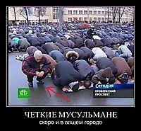 ЧЕТКИЕ МУСУЛЬМАНЕ скоро и в ващем городе
