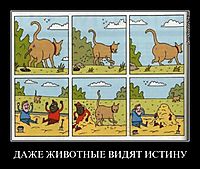 ДАЖЕ ЖИВОТНЫЕ ВИДЯТ ИСТИНУ 