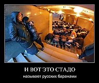 И ВОТ ЭТО СТАДО называет русских баранами