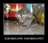 ЗАКОШМАРЮ, ЗАКОШМАРЮ!!! 