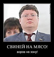 СВИНЕЙ НА МЯСО! воров на зону!