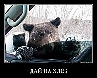 ДАЙ НА ХЛЕБ 