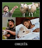 ОВЦЕЁБ 