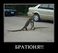 БРАТЮНЯ!!! 