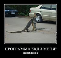 ПРОГРАММА "ЖДИ МЕНЯ" неизданное