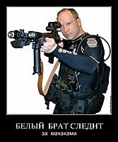 БЕЛЫЙ  БРАТ СЛЕДИТ за  макаками