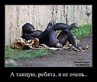 А танцую, ребята, я не очень.. 