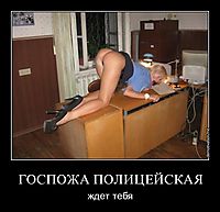 ГОСПОЖА ПОЛИЦЕЙСКАЯ ждет тебя