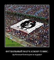 ФУТБОЛЬНЫЙ МАТЧ АЛЖИР-ТУНИС. футбольные болельщики за каддафи!