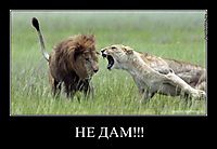 НЕ ДАМ!!! 