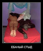ЕБАНЫЙ СТЫД 