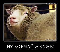 НУ КОНЧАЙ ЖЕ УЖЕ! 