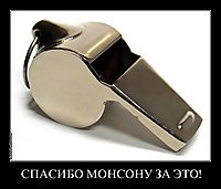 СПАСИБО МОНСОНУ ЗА ЭТО! 