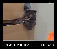 Я ЗАИНТРИГОВАН. ПРОДОЛЖАЙ 