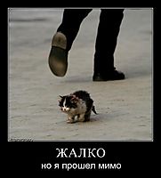 ЖАЛКО но я прошел мимо