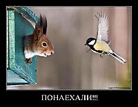 ПОНАЕХАЛИ!!! 