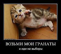 ВОЗЬМИ МОИ ГРАНАТЫ и иди на выборы