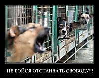 НЕ БОЙСЯ ОТСТАИВАТЬ СВОБОДУ!!! 