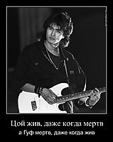 Цой жив, даже когда мертв а Гуф мертв, даже когда жив