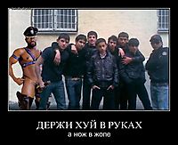 ДЕРЖИ ХУЙ В РУКАХ а нож в жопе
