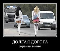 ДОЛГАЯ ДОРОГА украины в нато