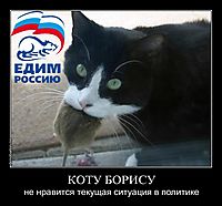 КОТУ БОРИСУ не нравится текущая ситуация в политике