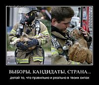 ВЫБОРЫ, КАНДИДАТЫ, СТРАНА... делай то, что правильно и реально в твоих силах