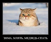 ЗИМА, МЛЯТЬ, МЕДВЕДЬ СПАТЬ 