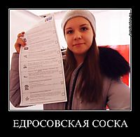 ЕДРОСОВСКАЯ СОСКА 