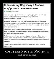 ХОТЬ У КОГО-ТО В ЭТОЙ СТРАНЕ ещё остались яйца