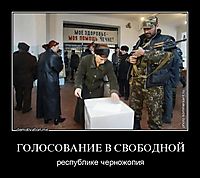 ГОЛОСОВАНИЕ В СВОБОДНОЙ республике черножопия