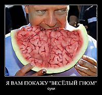 Я ВАМ ПОКАЖУ "ВЕСЁЛЫЙ ГНОМ" суки