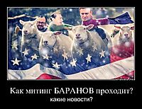 Как митинг БАРАНОВ проходит?