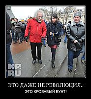 ЭТО ДАЖЕ НЕ РЕВОЛЮЦИЯ.. ЭТО КРОВАВЫЙ БУНТ!