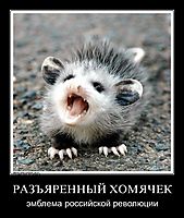 РАЗЪЯРЕННЫЙ ХОМЯЧЕК эмблема российской революции