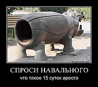 СПРОСИ НАВАЛЬНОГО что такое 15 суток ареста