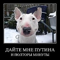 ДАЙТЕ МНЕ ПУТИНА И ПОЛТОРЫ МИНУТЫ