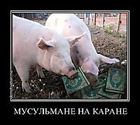 МУСУЛЬМАНЕ НА КАРАНЕ 